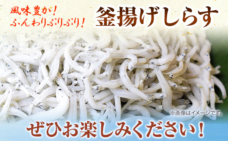 冷凍 釜揚げ しらす 300g 大五海産《60日以内に出荷予定(土日祝除く)》  和歌山県 日高町 釜揚げ しらす かまあげしらす かまあげ シラス 釜揚げシラス 海産物 海鮮 海鮮丼 丼 シラス丼 