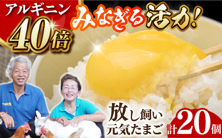 アルギニン 元気たまご 20個 自然栽培 平飼い 【浅田峠自然塾】卵 20個 たまご 鶏卵 玉子 国産 卵かけご飯 たまごかけご飯 すき焼き 目玉焼き [EA01] げんきたまご たまご料理 卵スイーツ