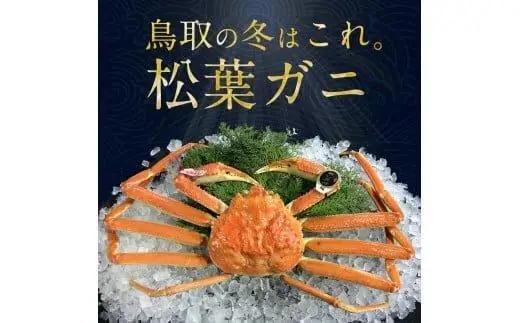 【活】鳥取ブランド 松葉ガニ『五輝星』  | カニ 松葉ガニ | 松葉 カニ 訳あり活 特大 美味しさに 訳あり 不揃い でないたっぷり　※2026年11月上旬～2027年3月下旬頃に順次発送予定　※