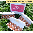 【ふるさと納税】テトラエッグ特選卵『バボルナの宝石』（30個/月）【12カ月定期便】 たまご 卵 玉子 特選卵 テトラエッグ 定期便 【J11-001】