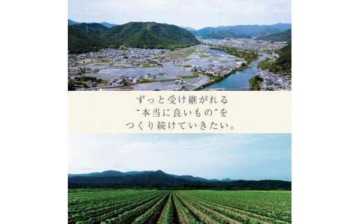 定期便 3か月間 6回お届け 計36パック しあわせの美人納豆　【 赤大豆 / もち麦入り / 枝豆 】 35g×6パックを隔週でお届け 自分へのご褒美 キレイをサポート 美容意識 健康食品 納豆 大