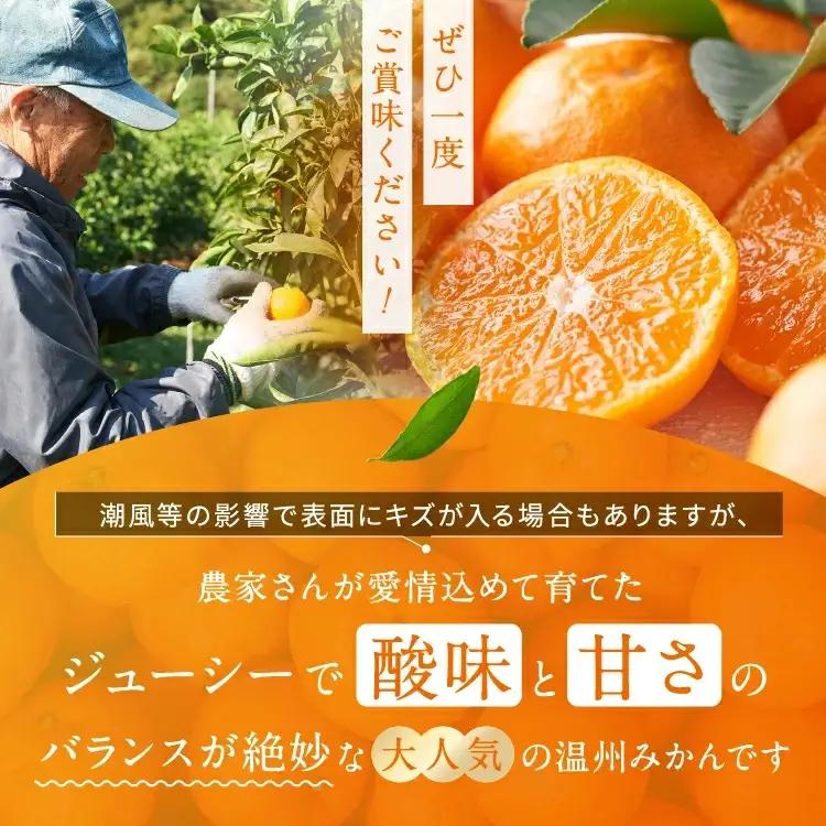 熊本県産 温州みかん 約5kg | 果物 フルーツ くだもの みかん ミカン 温州ミカン 熊本県 玉名市 味采市場