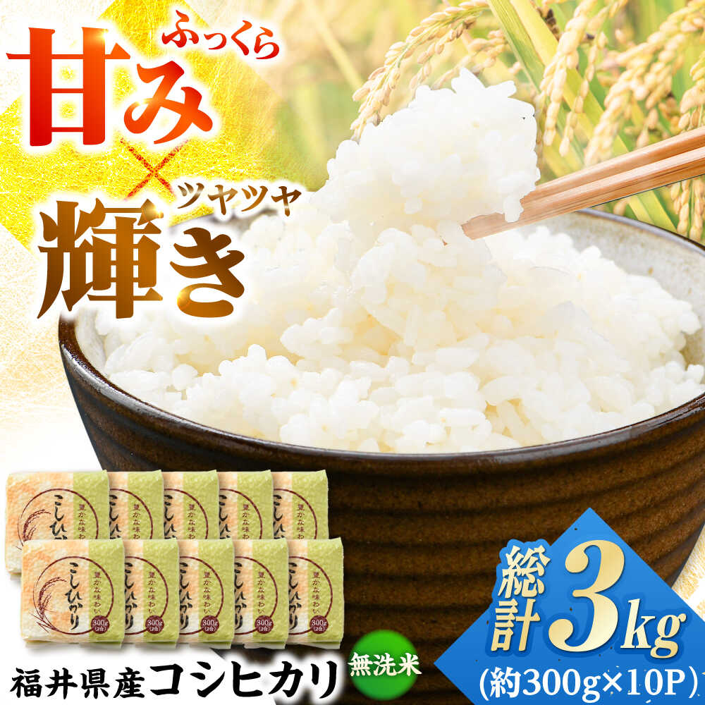 【ふるさと納税】【令和6年産】真空パック 福井県産こしひかり 300g(約2合) × 10パック 計3kg / 長期保存 コシヒカリ 白米 精米 小浜市 / シマダ農園 [BFAV004]