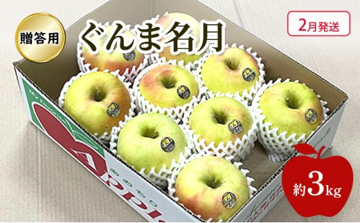 
                  [№5554-0437]【2月発送】 りんご ぐんま名月 贈答用 約 3kg 林檎 フルーツ 果物 ギフト 青森県 鶴田町
                