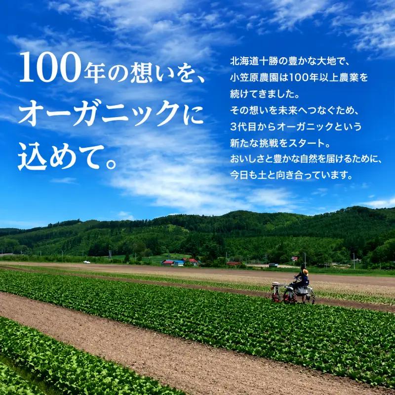 有機じゃがいも とうや 12kg 秋出荷 じゃがいも