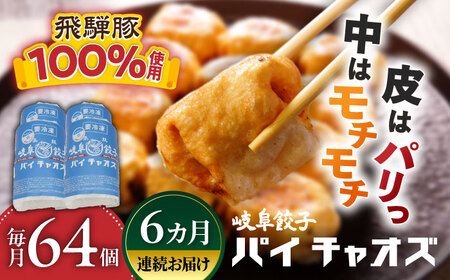 餃子 【6回定期便】 岐阜餃子64個入り [ANEY009] 餃子