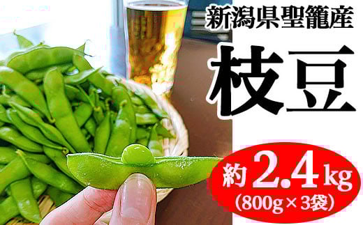 
            新潟県聖籠産 枝豆2.4kg（800g×3袋）【聖籠地場物産】
          