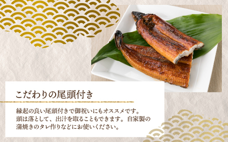 AB431.うなぎの蒲焼３尾（計１，２００ｇ前後）『１～２ヶ月前後でお届け！！』