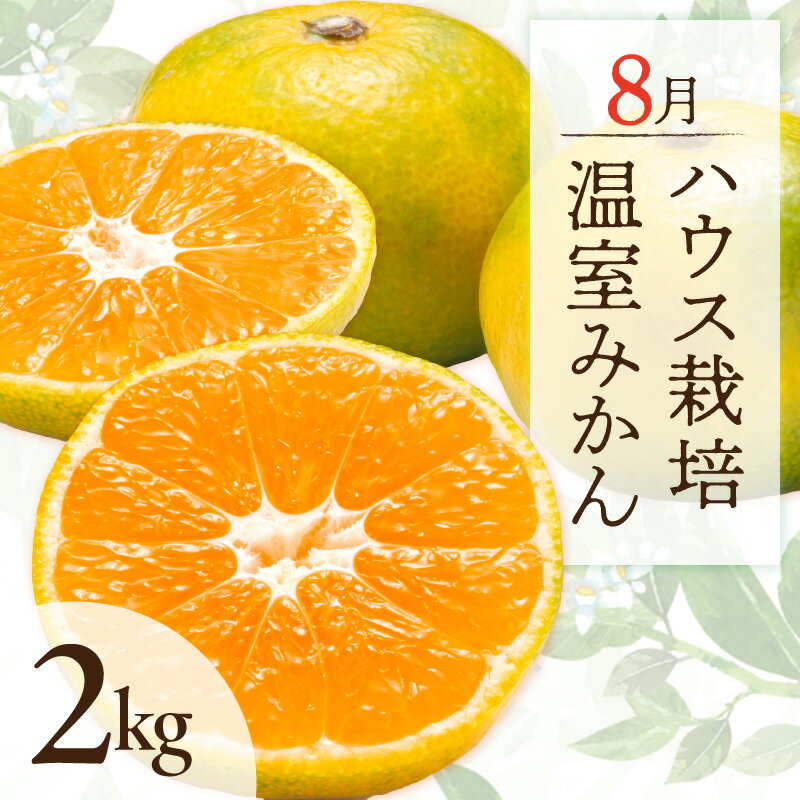 【ふるさと納税】8月の御浜柑橘 温室みかん 2kg │ みかん 光センサー選果 高級品 国産 柑橘 フルーツ 果物 夏 旬 食品 産地直送 期間限定