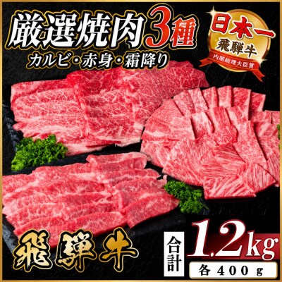 飛騨牛 焼肉3種(カルビ・赤身・霜降り) 計1.2kg【配送不可地域：離島】