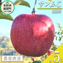 【ふるさと納税】 りんご サンふじ 家庭用 5kg ファームトヤ 沖縄県への配送不可 令和6年度収穫分 長野県 飯綱町 〔 信州 果物 フルーツ リンゴ 林檎 ふじ 長野 13000円 予約 農家直送 〕発送時期：2024年11月中旬～2024年12月下旬 {**}