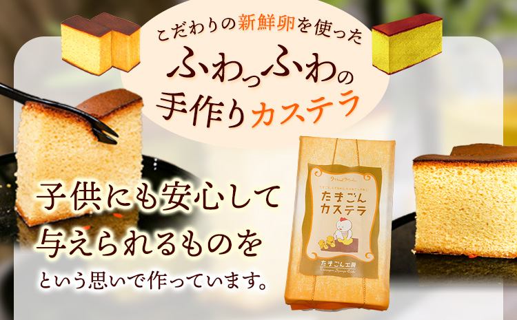 特選卵とカステラの詰め合わせB《30日以内に出荷予定(土日祝除く)》卵 カステラ かすてら 詰め合わせ 有限会社畠中育雛場---isc_chnistumeb_30d_22_10500_3p---