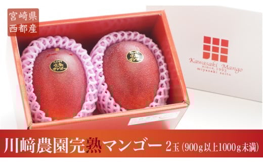 【先行予約】『川崎農園』完熟マンゴー 西都市 産生産者直送 2026年発送＜11-1a＞