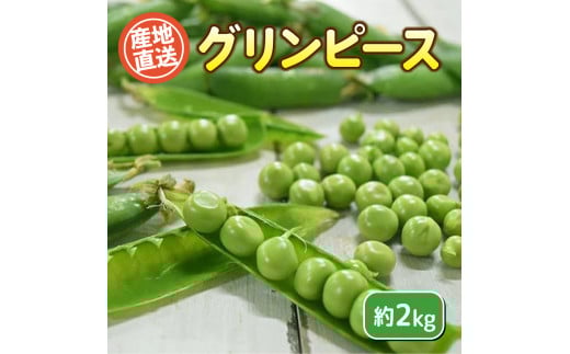 
                  グリンピース 約2kg セット 無農薬 野菜 豆 惣菜 サラダ 産地直送 下関 山口
                