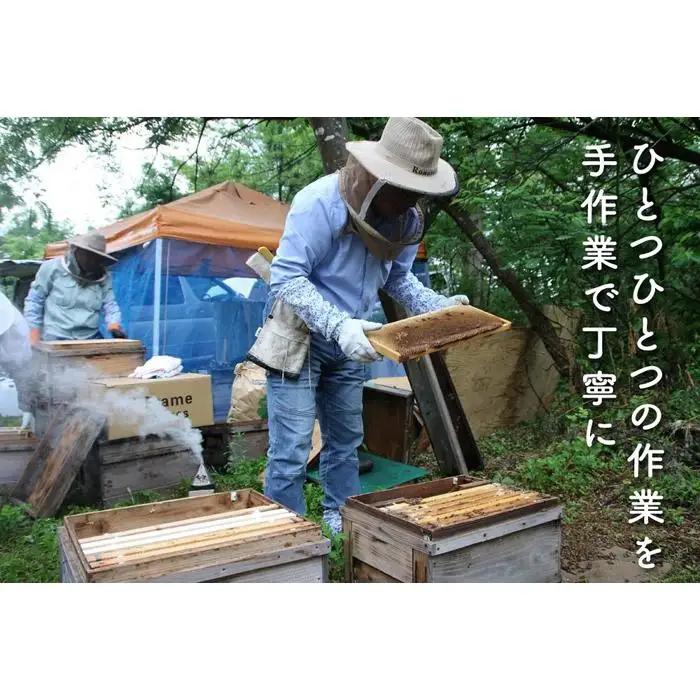 さいき養蜂園　非加熱蜂蜜　そば　１kg×２本【ハチミツ 蜂蜜 ハニー 非加熱 セット 健康食品 国産 保存 備蓄 防災 非常食 常温】