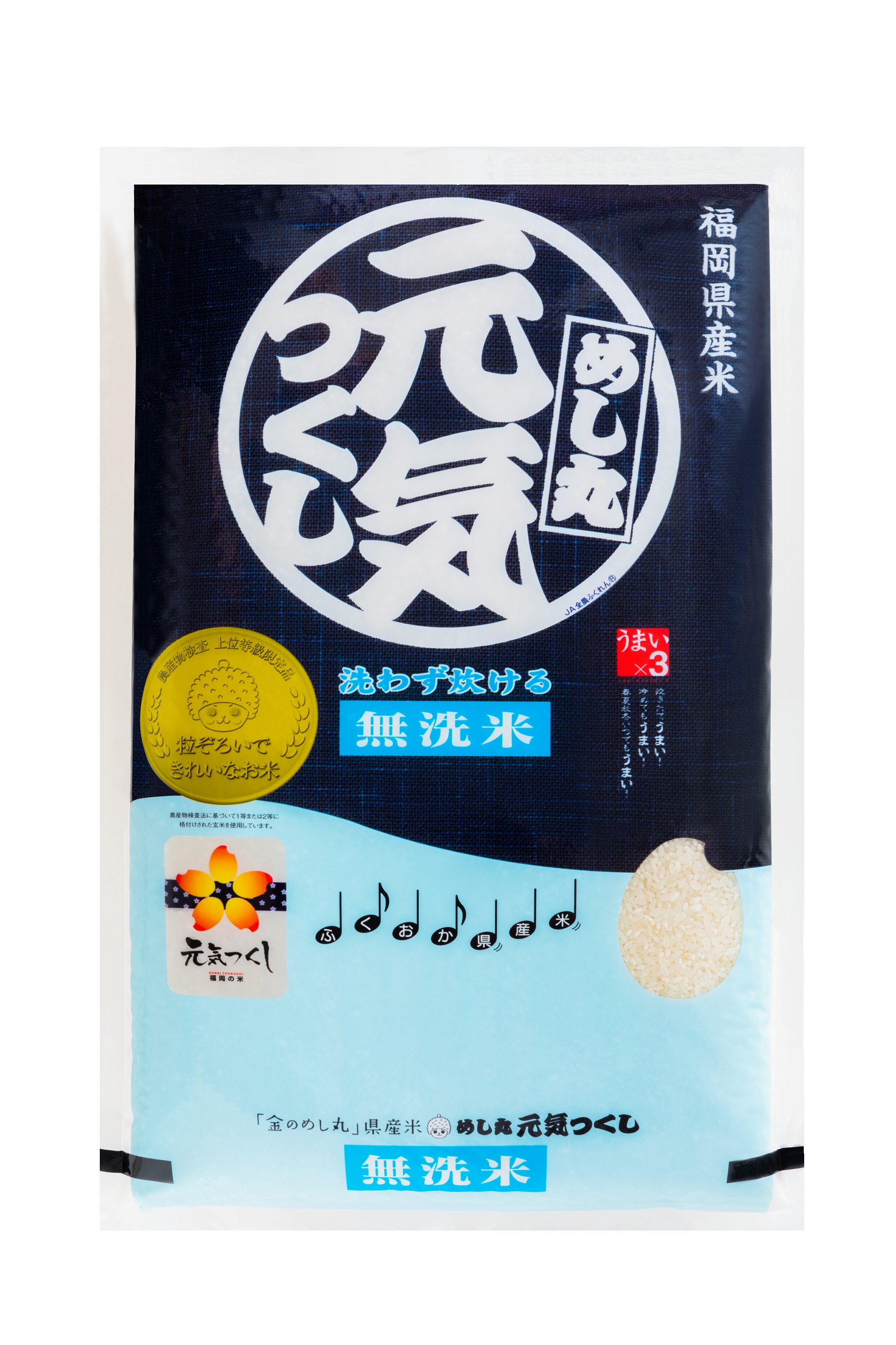CE-086_【定期便３回】〈無洗米〉金のめし丸元気つくし　５Kg（１袋）