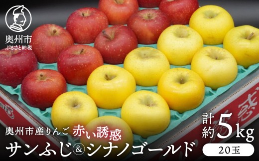 奥州市産りんご 赤い誘惑「サンふじ＆シナノゴールド」 5kg 1箱 りんご 林檎 サンフジ シナノゴールド フルーツ 果物 優品 秀品 食べ比べ セット 期間限定 数量限定 自宅用 家庭用 贈答 ギフト [AQ082]