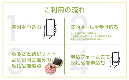 ＼あとから選べる ／オンラインカタログ あとからチョイス 700万円 7000000円 有効期限なし 後から選べる 飛騨牛 結旨豚 肉 総菜 スイーツ 工芸品 お米 特産品 宿泊 食事券 体験 チケッ