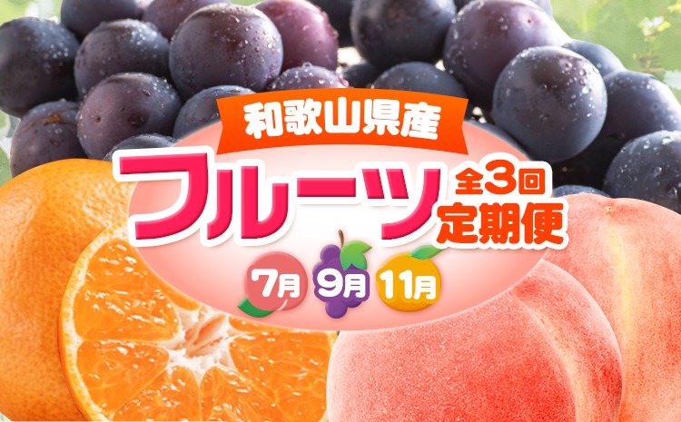 人気フルーツ全3回（7月・9月・11月）定期便 厳選館《7月上旬-11月末頃出荷》和歌山県 日高川町 果物 フルーツ 和歌山の 桃 種なし ピオーネ 有田 みかん 送料無料【配送不可地域あり】---wshg_tmttei3_26_43000_7911y3---