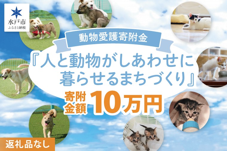 
            【返礼品なし】水戸市 動物愛護寄附金『人と動物がしあわせに暮らせるまちづくり』100000円【動物愛護 愛護活動 保護 犬 猫 いぬ ねこ イヌ ネコ 動物 ペット 応援 支援 水戸市どうぶつ愛護センター 茨城県】(LW-12)
          