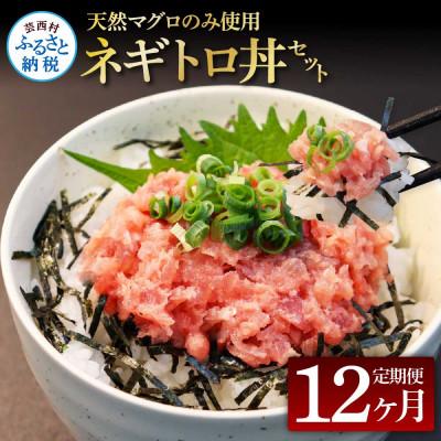 ふるさと納税 芸西村 【毎月定期便】天然マグロのタタキ丼セット 65g×6P【t270kgp】全12回