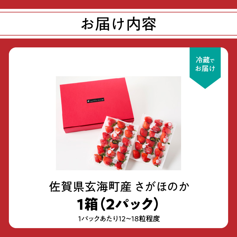 ★予約受付★平川いちご農園 佐賀県玄海町産いちご「さがほのか」12月～5月順次配送
