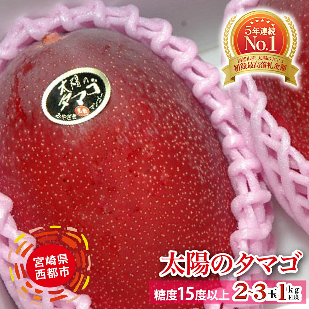 【ふるさと納税】完熟マンゴー「太陽のタマゴ」約1kg（JA西都）令和8年収穫分【楽天限定】【先行予約】宮崎県 西都産 果物 フルーツ
