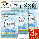 【ふるさと納税】＜機能性表示食品＞ビフィズス菌(31粒×3袋・計93粒)鹿児島 日置市 健康食品 サプリ 栄養バランス 食生活 安心安全 カルシウム おなかの調子 腸内環境 お通じ 便通 改善 【てまひま堂】