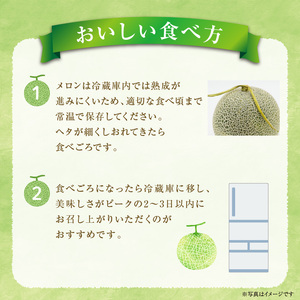 【 7月青肉・9月赤肉発送】北海道の贅沢　暑寒メロン食べ比べ2回便 【各1玉づつ】