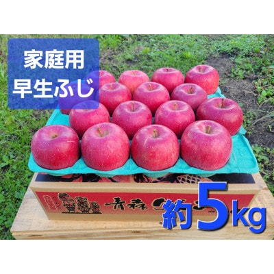【訳あり】青森県産りんご「早生ふじ 家庭用」約5kg　産地直送!【1517218】