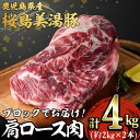 【ふるさと納税】鹿児島県産 桜島美湯豚 肩ロース肉ブロック(2本・計約4kg)豚肉 豚 肉 肩ロース ロース ロース肉 ブロック 国産 鹿児島産 冷凍【森商店】E5-3007