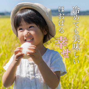 令和7年産 新米 弥八郎さんのお米 鹿児島県産 なつほのか 精米 5kg