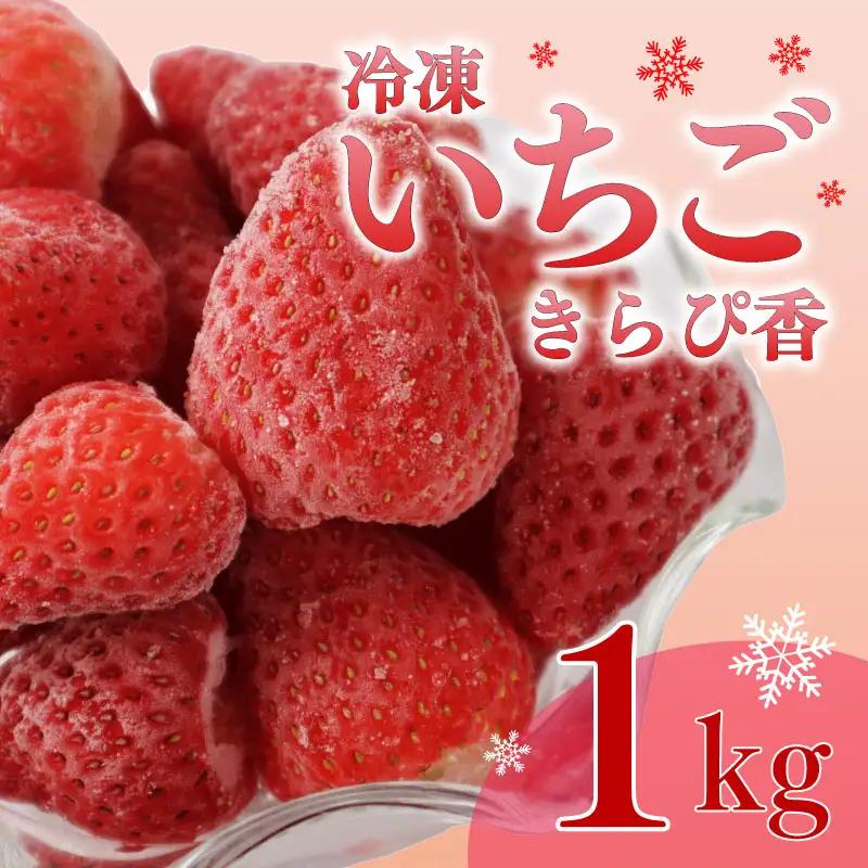 冷凍いちご いちご きらぴ香 1kg 苺 【冷凍いちご】 鈴木農園