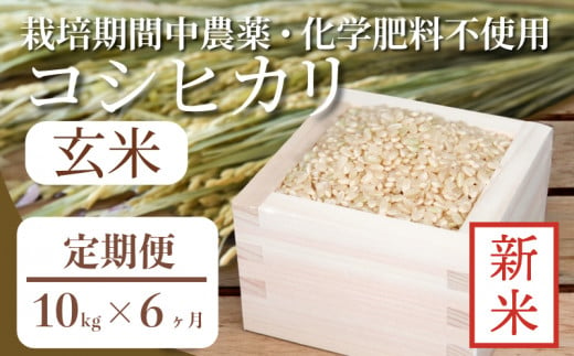 【定期便6回】 玄米 コシヒカリ  計60kg 10kg×6回 定期便 栽培期間中無農薬 ｜ 徳島県 ふるさと納税 新生活 四国 徳島 小松島 新生活 おいしい お米 米 こめ おこめ 国産 限定 ごはん ご飯 ゴハン ふるさと ランキング 人気 安全 安心 栄養 おすすめ 送料無料 国産 TKG 卵かけご飯 おにぎり おむすび いのち育む田んぼ米 生物多様性 【北海道･沖縄･離島への配送不可】