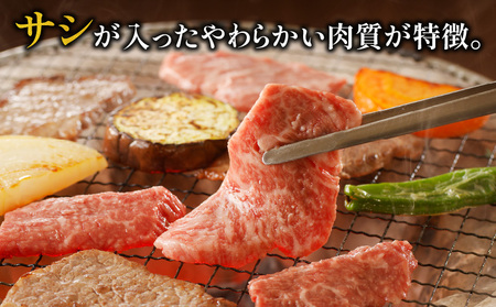 やみつきシリーズ宮崎牛カルビ定期便 肉 牛 牛肉 カルビ