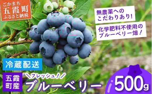 フレッシュ 五霞町産 ブルーベリー500g - ブルーベリー 新鮮 フレッシュ 大粒 無農薬 冷蔵 生 フルーツ 果物 そのまま おやつ 朝食 茨城県 五霞町