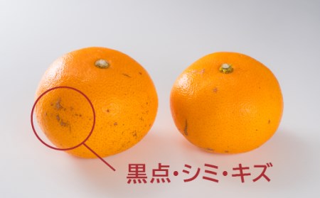 【訳あり】三重県産 せとか ４kg【出荷目安：２月下旬〜３月下旬】 II-57