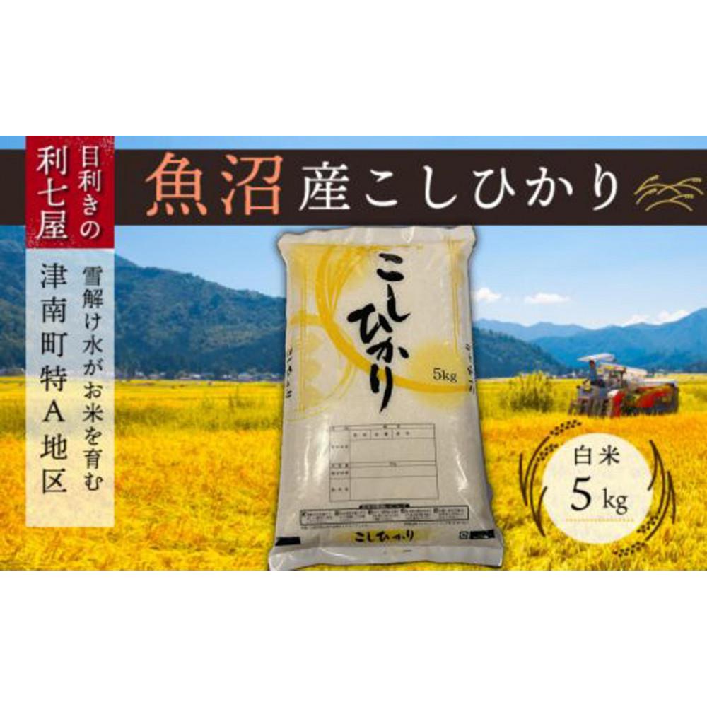 【ふるさと納税】【令和8年産先行予約】 米 5kg 新米 魚沼産 コシヒカリ 津南町特A地区産 | 白米 精米 こしひかり お米 おこめ こめ コメ ご飯 ごはん ブランド米 おすすめ 新潟県 津南町