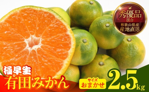 
                  【2026年先行予約】みかん 極早生 箱込 2.5kg ( 内容量2.3kg ) おまかせサイズ（S/M/L）秀品・優品 の混合 有田みかん 和歌山県産 _MK1073
                