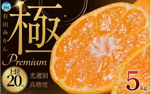 【みかん 5kg】選りすぐりの上位20％の高糖度をお届け！ 極 有田みかん プレミアム 約5kg サイズ混合 | フルーツ 果物 くだもの 柑橘 みかん ミカン オレンジ 温州ミカン 名産地 甘い みかん 蜜柑 有機質肥料100% 有田 産地直送  ※2026年11月～2027年1月に順次発送予定（お届け日指定不可）※北海道・沖縄・離島への配送不可 【nuk155G】