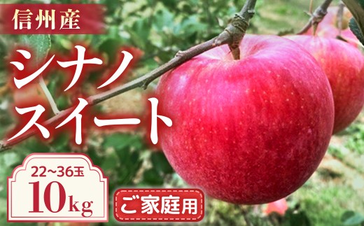 【2026年10月発送予定】りんご　シナノスイート　ご家庭用　約10kg（22-36玉）　林檎｜リンゴ｜果物｜フルーツ｜長野県産｜南信州