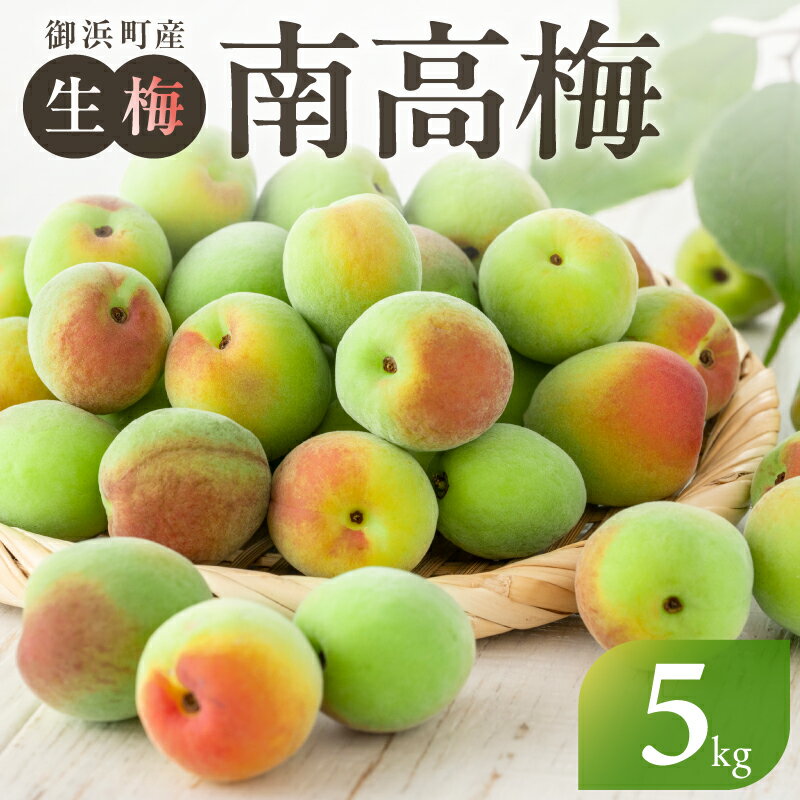【ふるさと納税】高評価★4.70 和光工房 生梅 青梅 南高梅（生）5kg │ 梅 生梅 青梅 南高梅 梅酒 梅干 梅干し 梅シロップ 梅ジュース 加工用