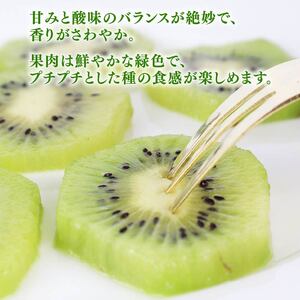 142-3　王道グリーンキウイ（ヘイワード）