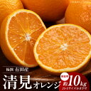 【ふるさと納税】【限定】極撰　有田産清見（地区厳選）10kg　サイズおまかせ（2S・S)