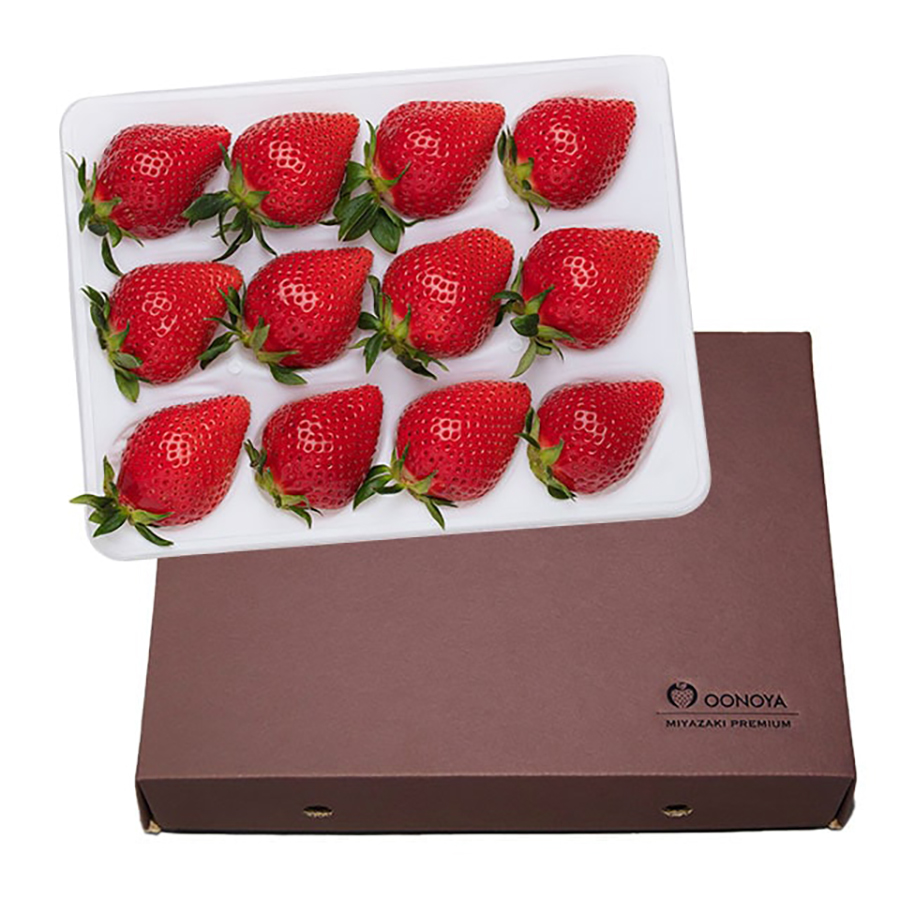 やよいひめ特別選定大粒いちごｘ２パック　計900g