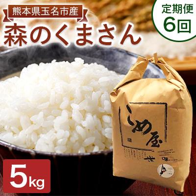 ふるさと納税 玉名市 【毎月定期便】熊本県玉名市産　森のくまさん 5kg全6回