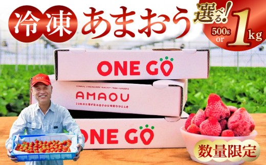 
                  福岡県産あまおう 選べる 500g 1kg 特別栽培 数量限定 急速冷凍 いちご あまおう 3Dフリーザー 長期保存可能 国産 シャーベット フルーツ デザート 冷凍 果物  保存料不使用 福岡県 久留米市 送料無料 _ Fi203-sku
                