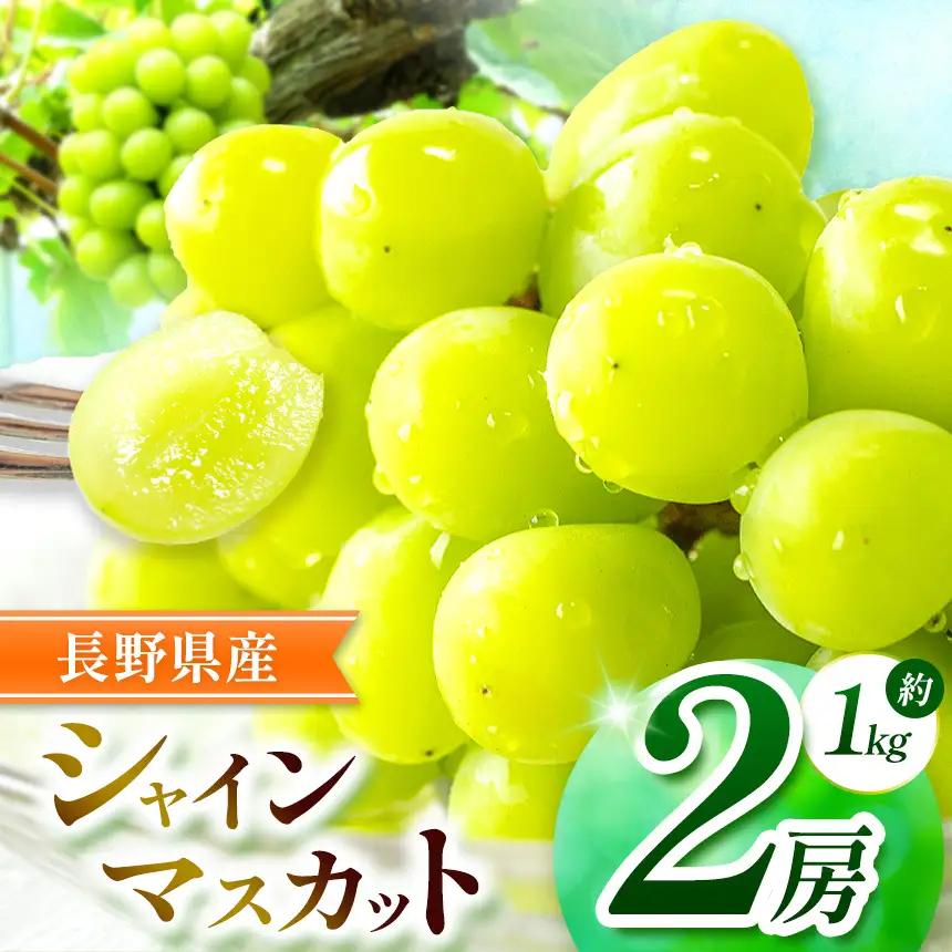 絶品！シャインマスカット 2房【9月下旬～11月下旬にかけて順次発送予定】