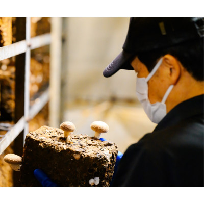 あらかわ乾燥しいたけセット(丸55g・スライス50g・ミンチ50g)