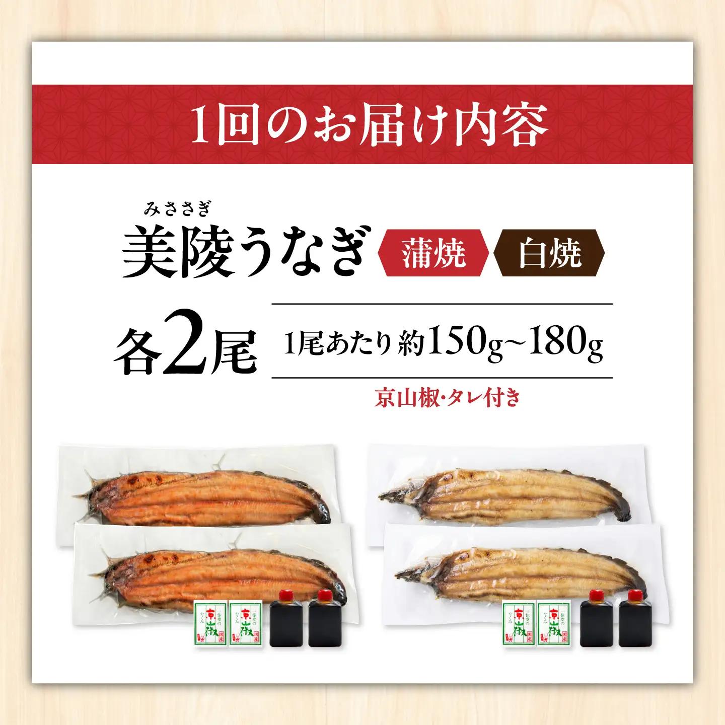 【全3回定期便】鰻 鰻の蒲焼2尾×白焼2尾 紅白セット / 美陵鰻 鰻 うなぎ ウナギ 蒲焼 蒲焼き かば焼き かばやき 白焼き 白焼 しろやき しらやき 特大 肉厚 うな重 うな丼 ひつまぶし 惣菜
